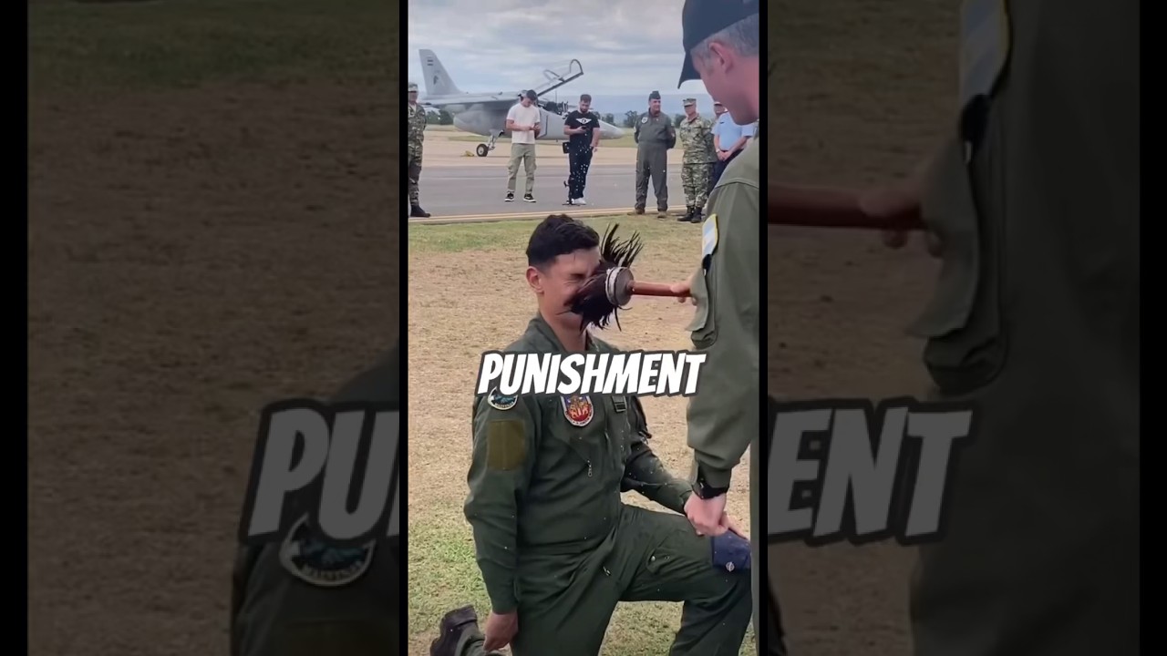 Pilot Crash: Consequences & Investigation ✈️