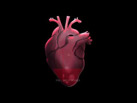 PNL - DEUX FRÈRES (CLIP ANIMATION 2D)