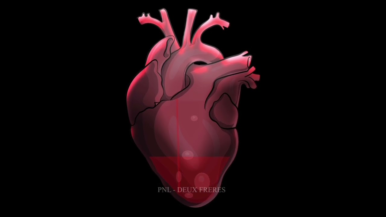 PNL - Deux Frères 🎥 Clip Animation 2D | Art, Rap & Album Visuals
