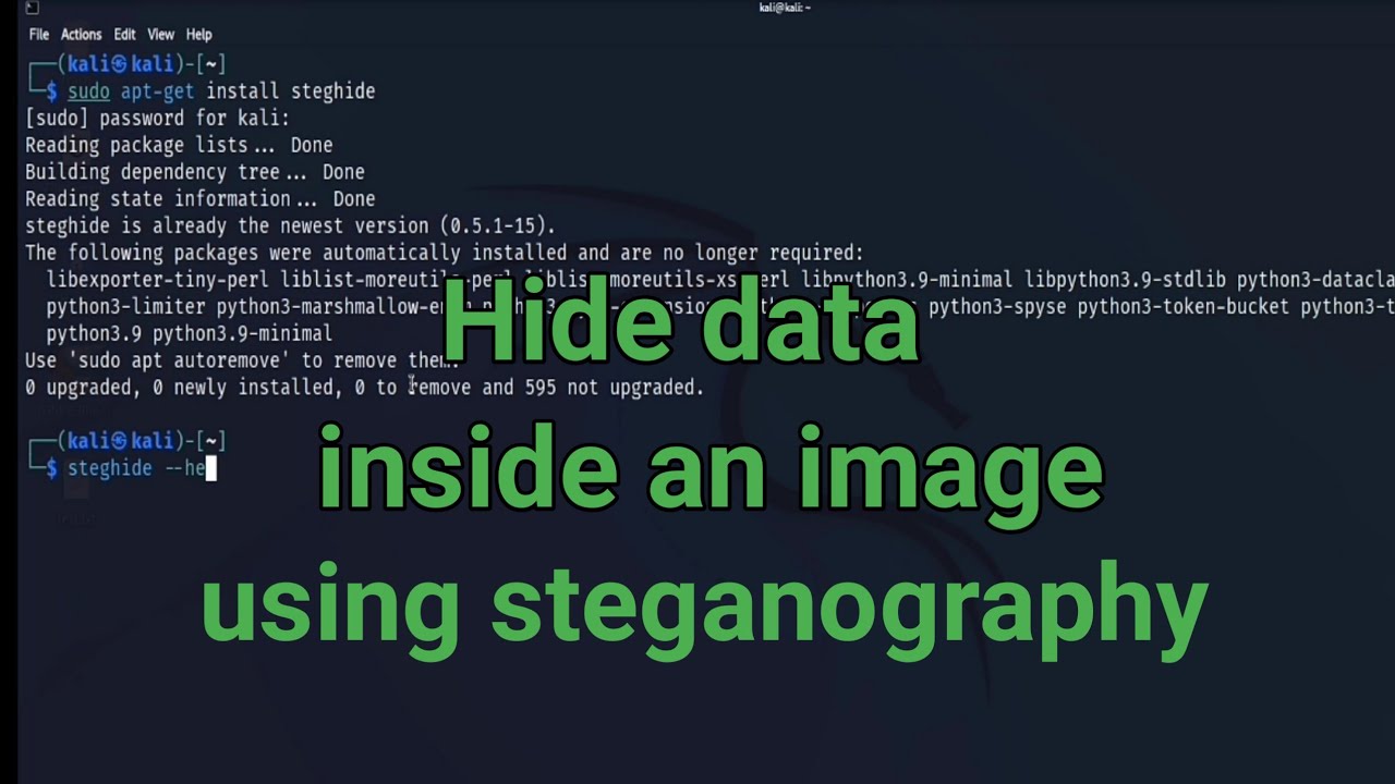 Master Steganography: Hide Secret Data Inside Images Easily 🔐
