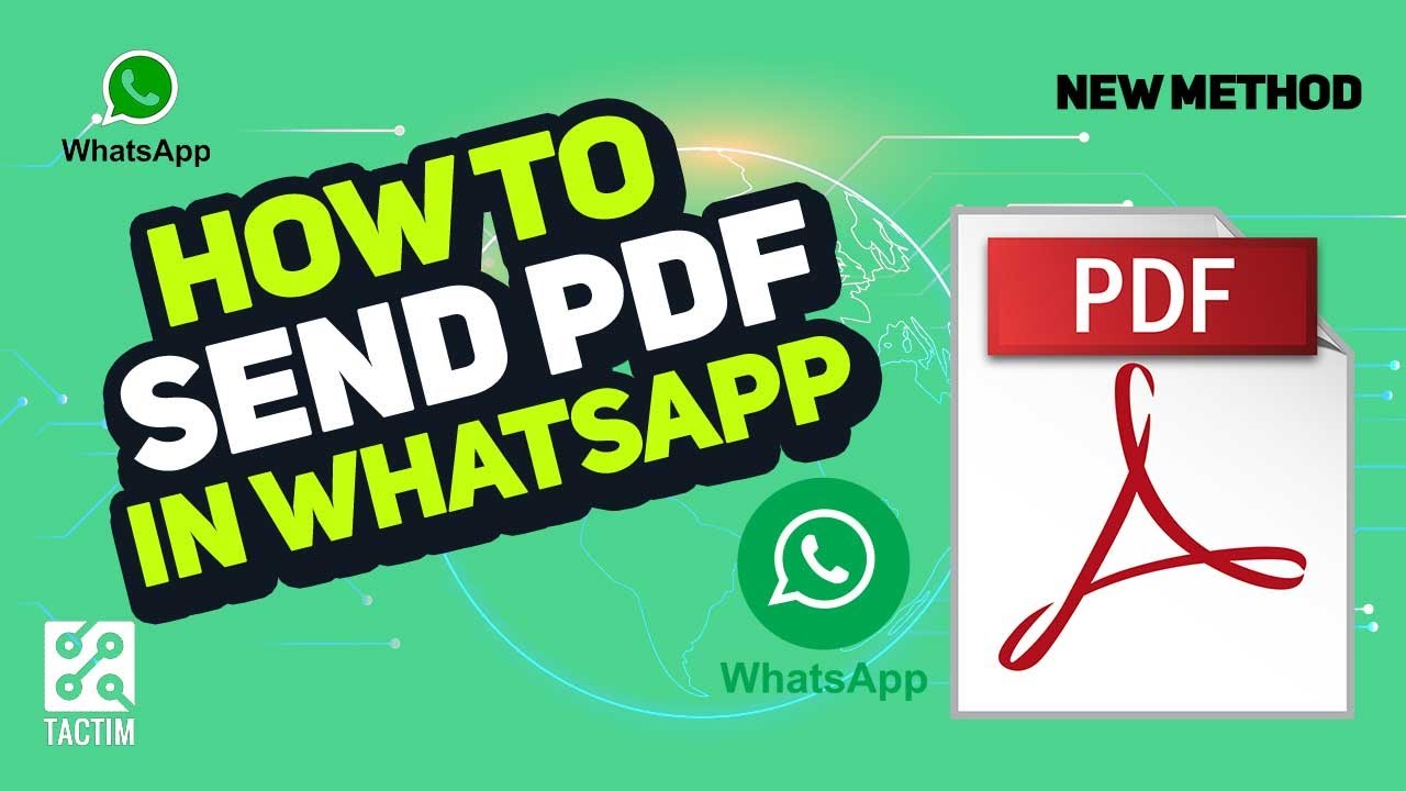 Send PDF Files on WhatsApp in 2025: Easy Step-by-Step Guide 📱
