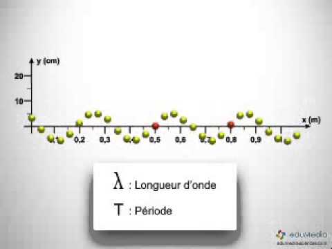 Longueur d'onde et fréquence 🌊