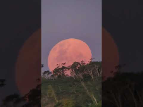 Nascer da primeira Superlua do ano 🌕🔭 #superlua #universe