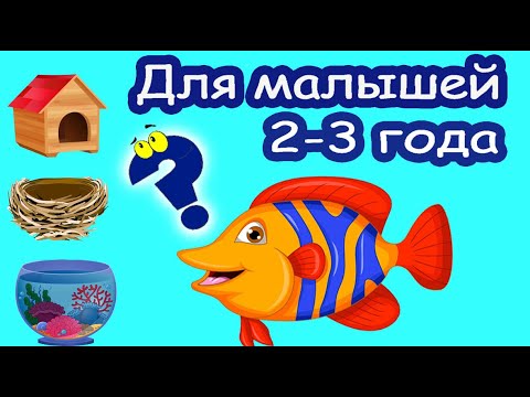 Развивающее видео для детей 2-3 лет. Развитие мышления. Головоломки для малышей обучающие