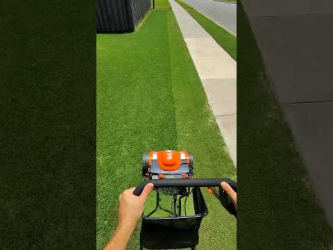 Genius $17 lawn care tool