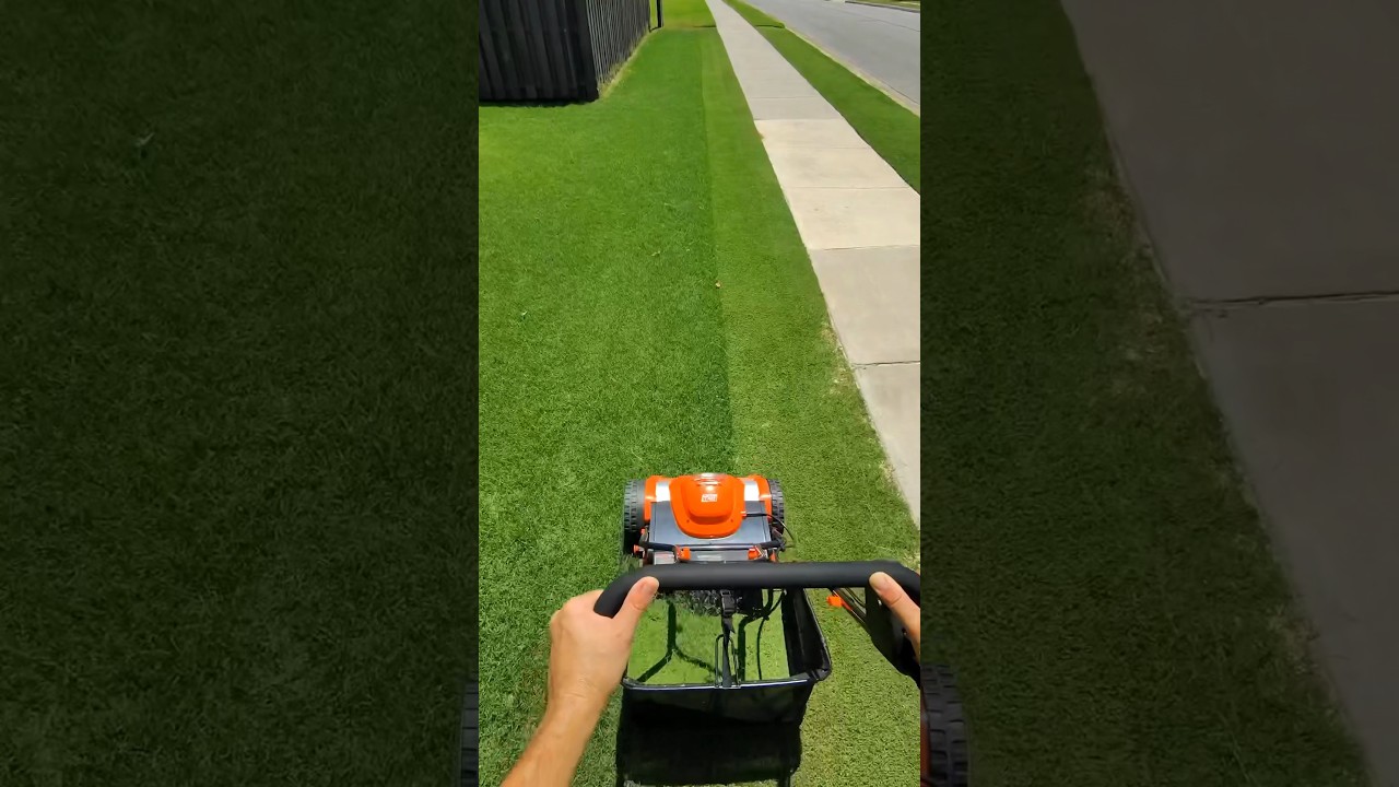 Transform Your Lawn Care with This $17 Genius Tool ๐ฟ