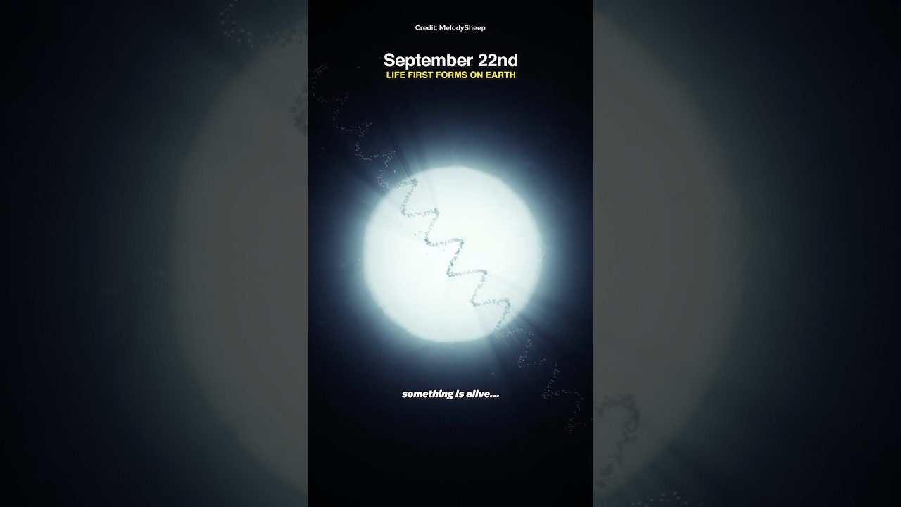 Universe's History in Just 1 Year 🌌