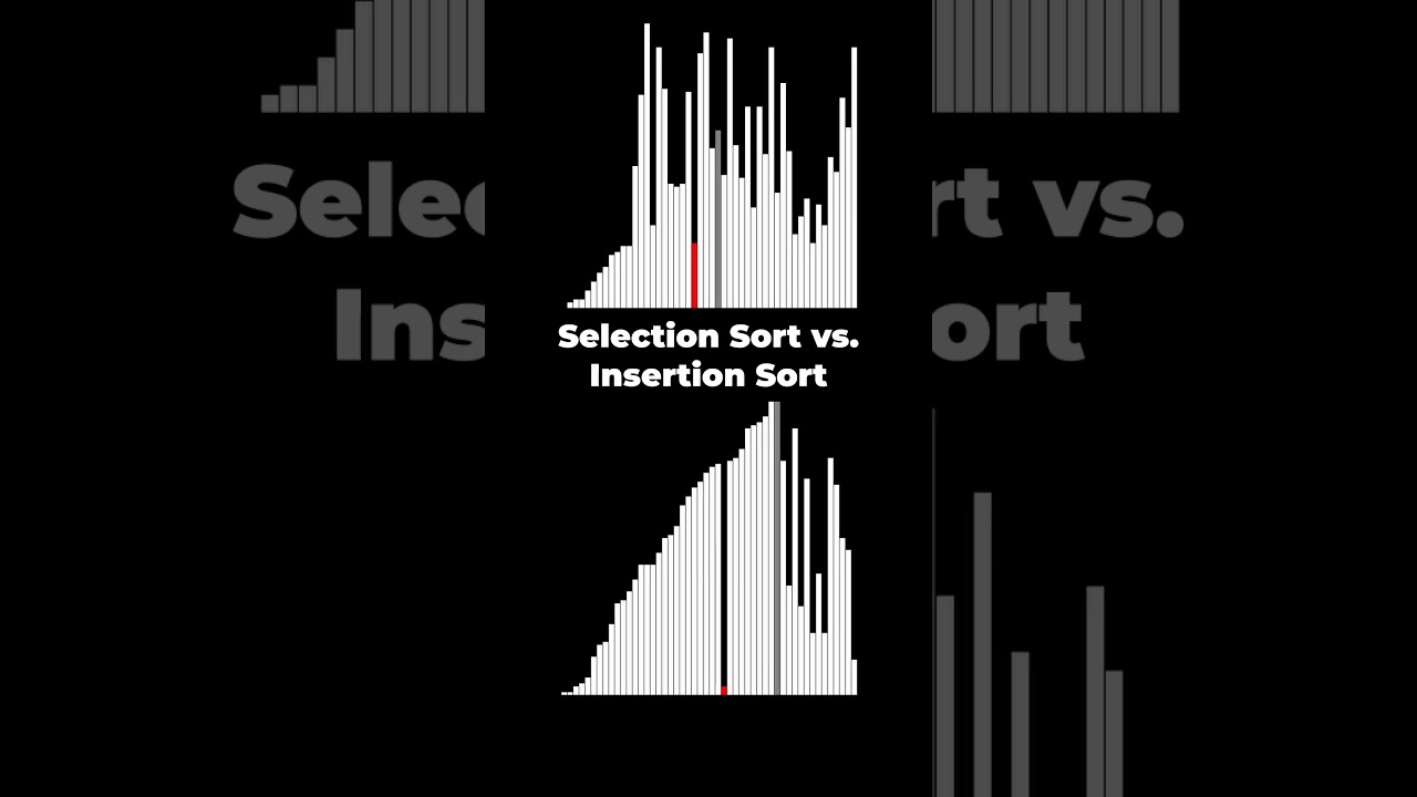 Selection Sort vs Insertion Sort Animation: Visualize Sorting Algorithms with Python Turtle 🐢
