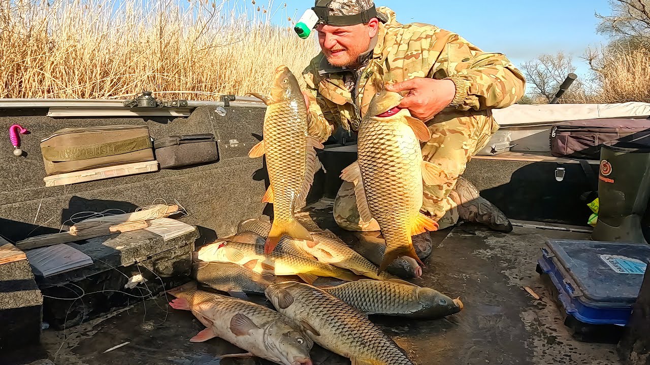 Бешеный клёв сазана! Полная лодка рыбы 🎣