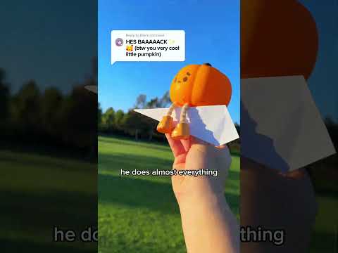 Pumpkin friend is BACK 🥹