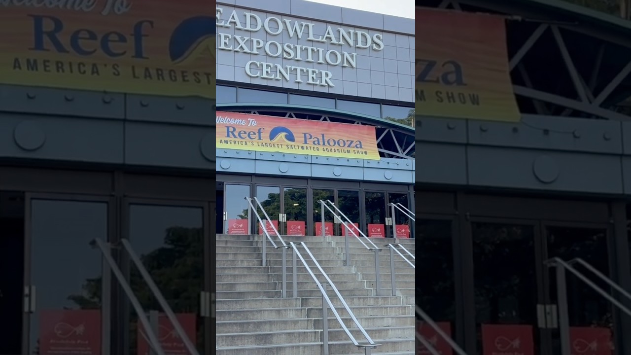 Reefapalooza NY 2025. Full walkthrough video posted as well!
