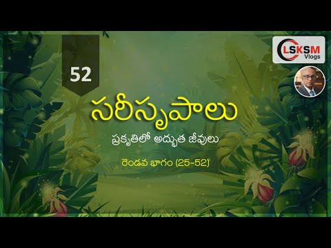 సరీసృపాలు – ప్రకృతిలో అద్భుత జీవులు (రెండవ భాగం) I LSKSM Vlogs