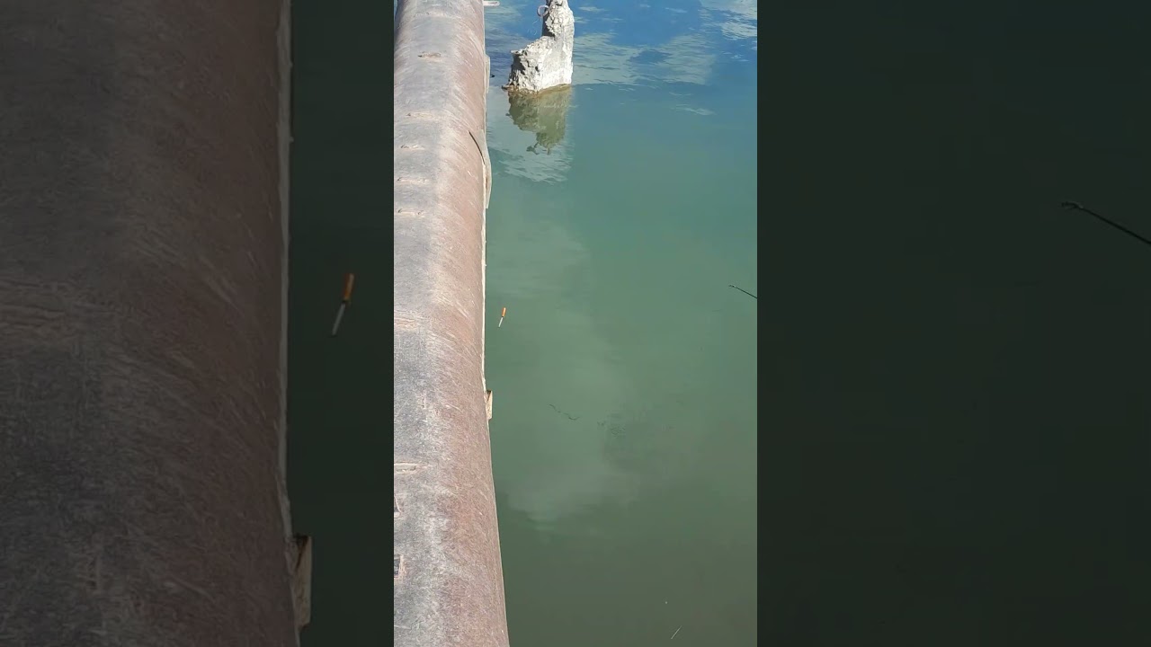 Рыбалка в Краснодарском крае, Кропоткин, апрель 2024 🎣