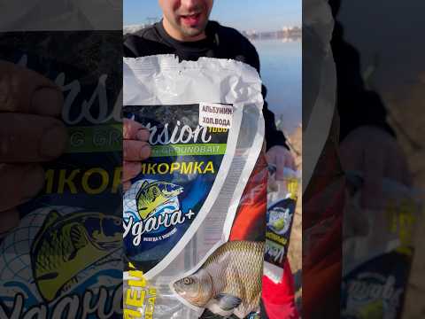 Рецепт по холодной воде #рыбалка #фидер #лещ