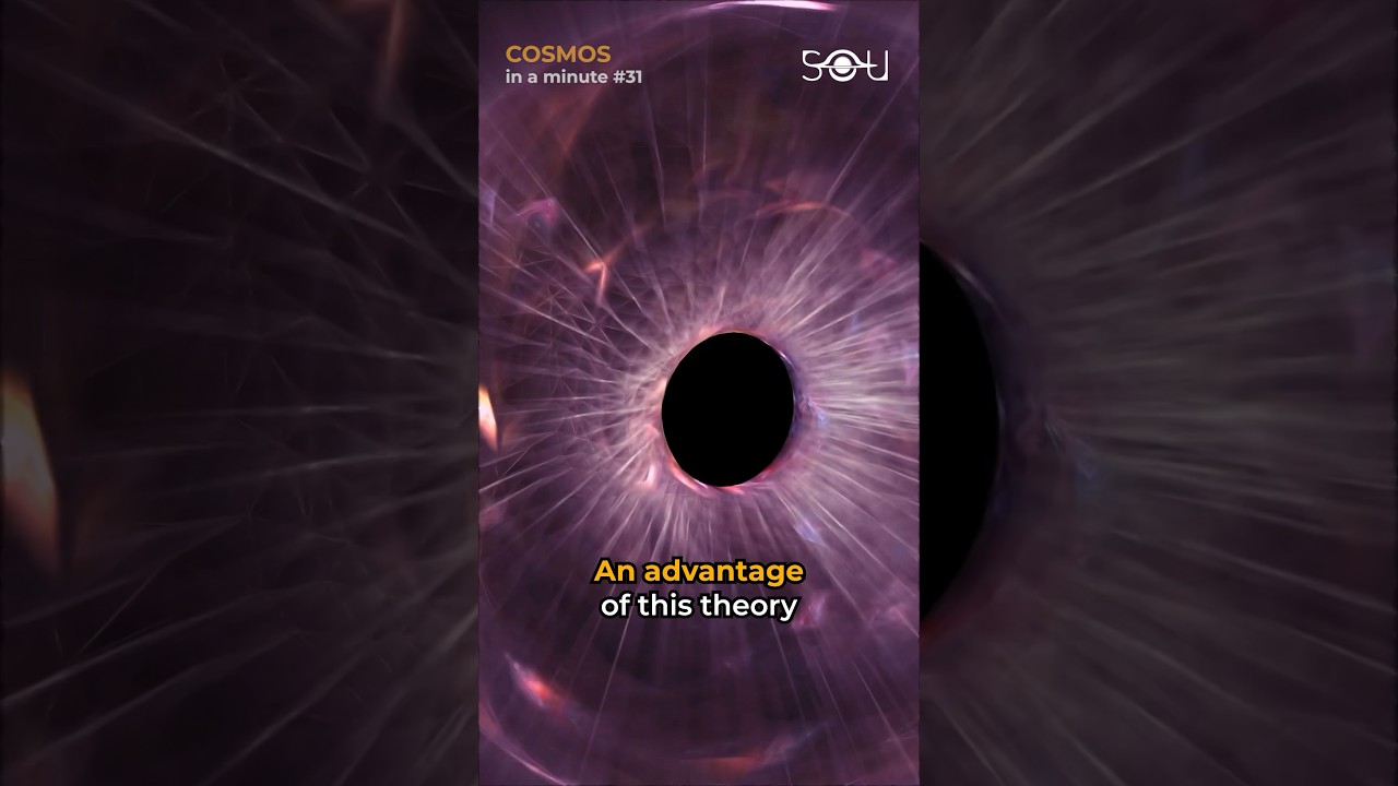 Loop Quantum Gravity Explained | COSMOS in a Minute 🌌