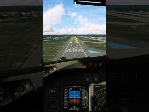 Get the perfect 737 landing in 1 minute! #msfs2020 #pmdg737