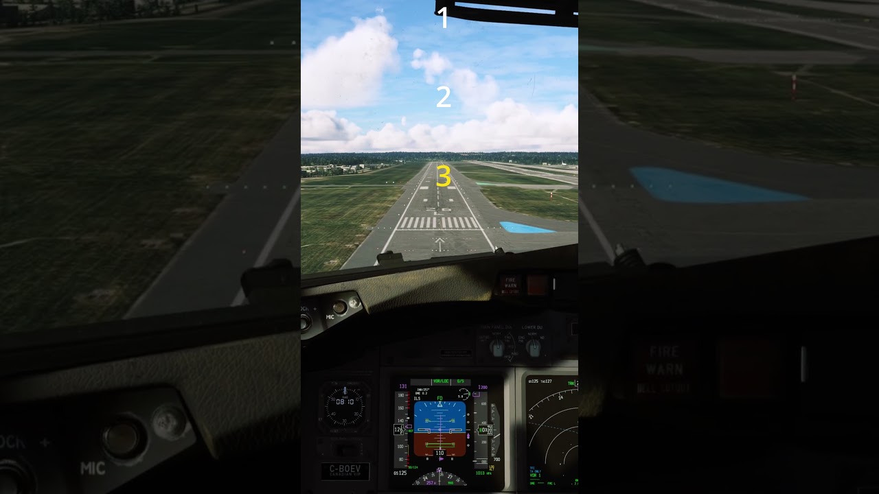 Master the Perfect Boeing 737 Landing in Just 1 Minute ✈️