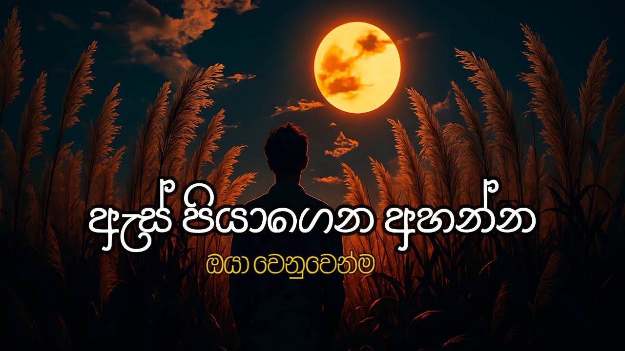 🎶 Best New Sinhala Songs 2025 | Nonstop Sinhala Sindu & Manoparakata Hits