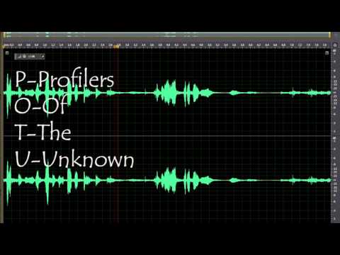 EVP ”Trip Lang” I Witness November 2, 2014