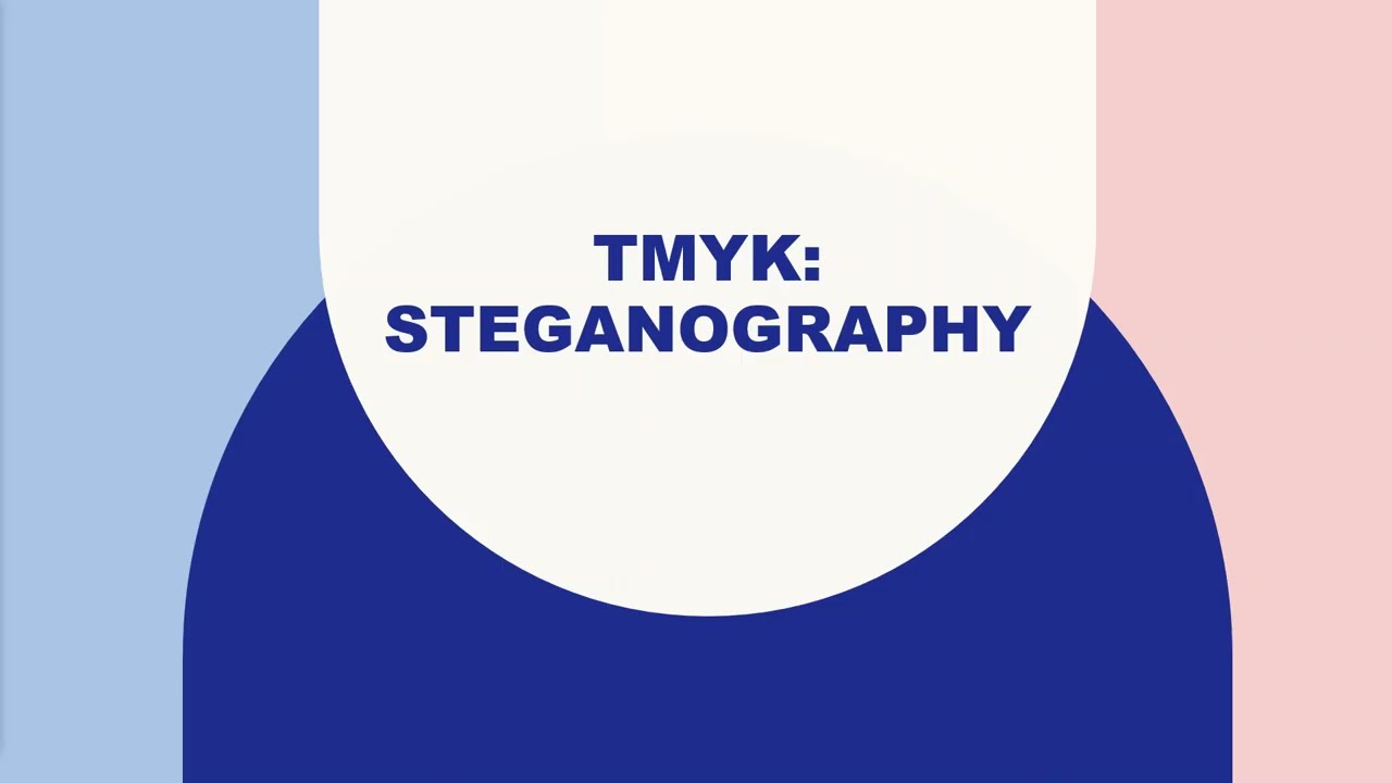 TMYK Steganography: Hiding in Plain Sight