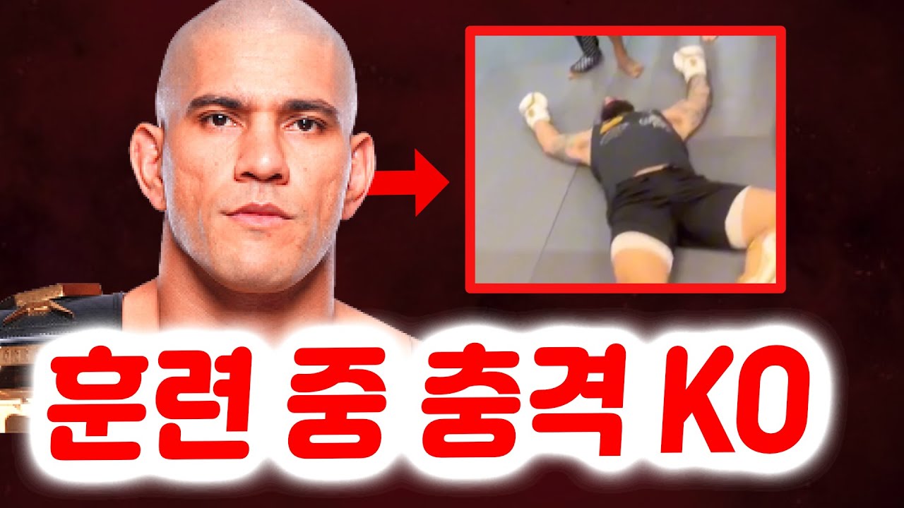 UFC Highlights: KO, Controversies & More 🥊