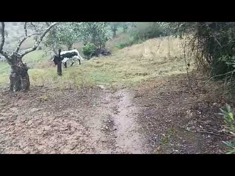 ¡Únete para Más Contenido Exclusivo y Ventajas! 🚀