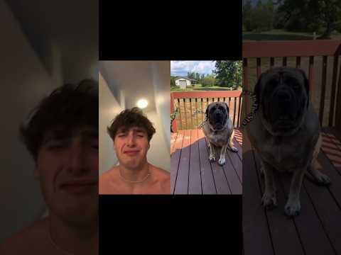 This one took me out… 💔