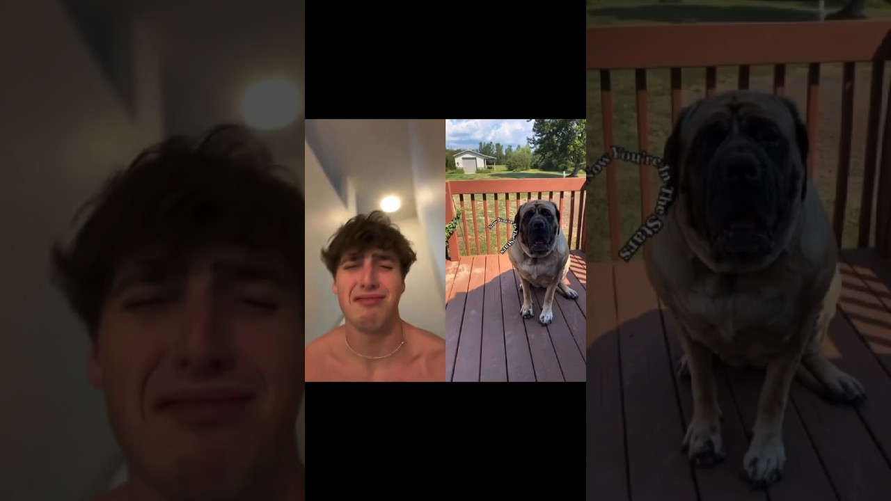 This Song Really Hit Me 💔