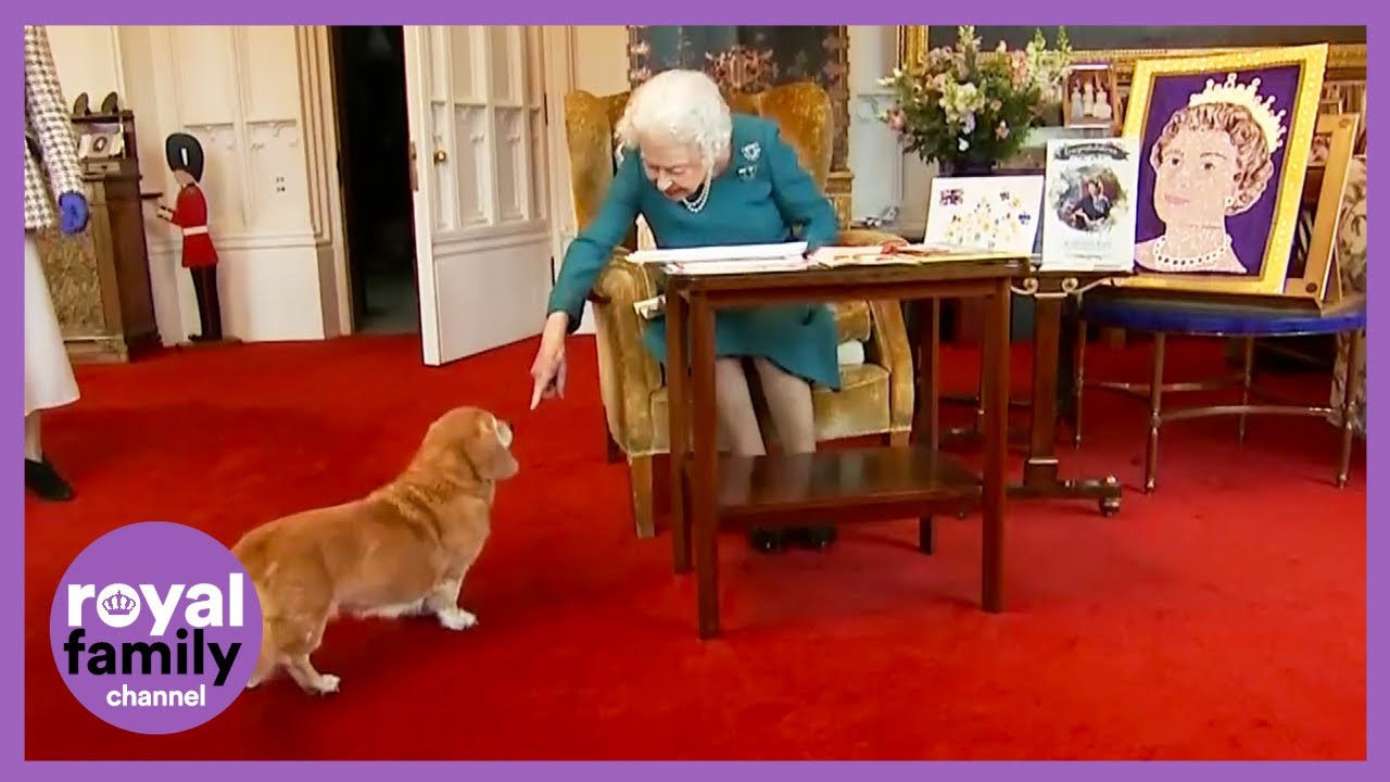 Charming Moment Between the Queen and Her Pet Dorgi