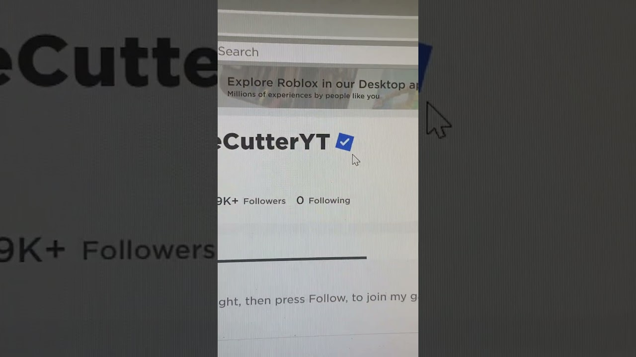 How the Roblox Verification System Works 🔒