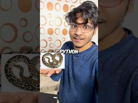 I LEARNED CODING IN A DAY #shorts