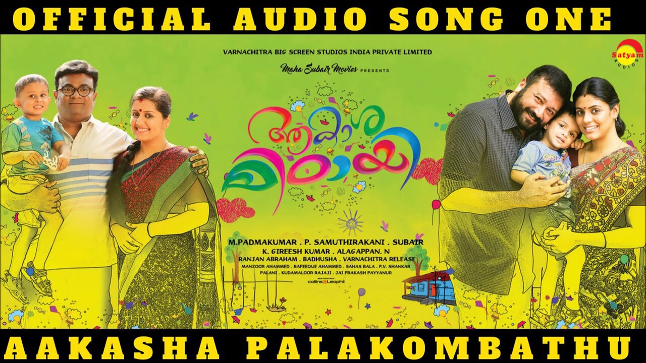 Aakasha Palakombathu Official Audio 🎶 | Aakashamittayee