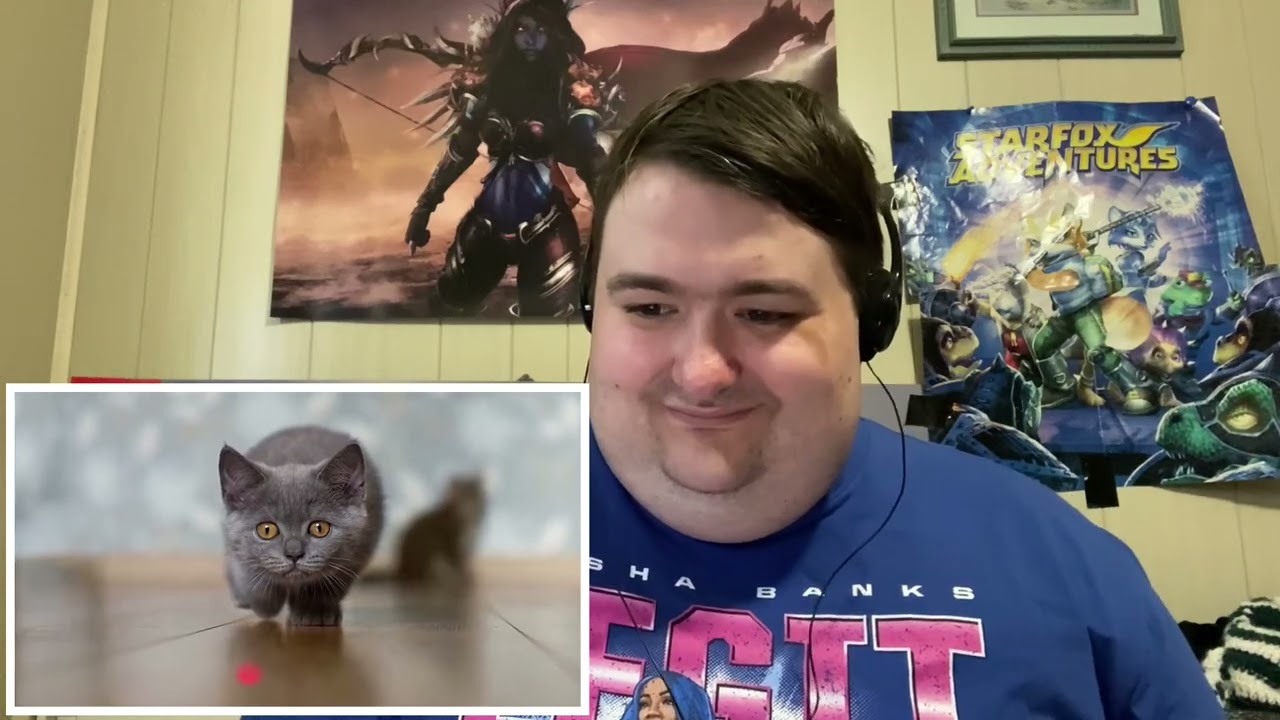 AVGN Ep 203 Reaction: Purr Pals 🐱