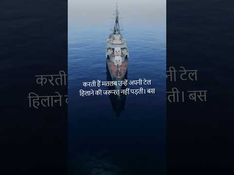 "Dolphins Ships ke Saath Kyun Swim Karte Hain? ⚡ Aap Hairaan Reh Jaoge! 😱🐬"#short