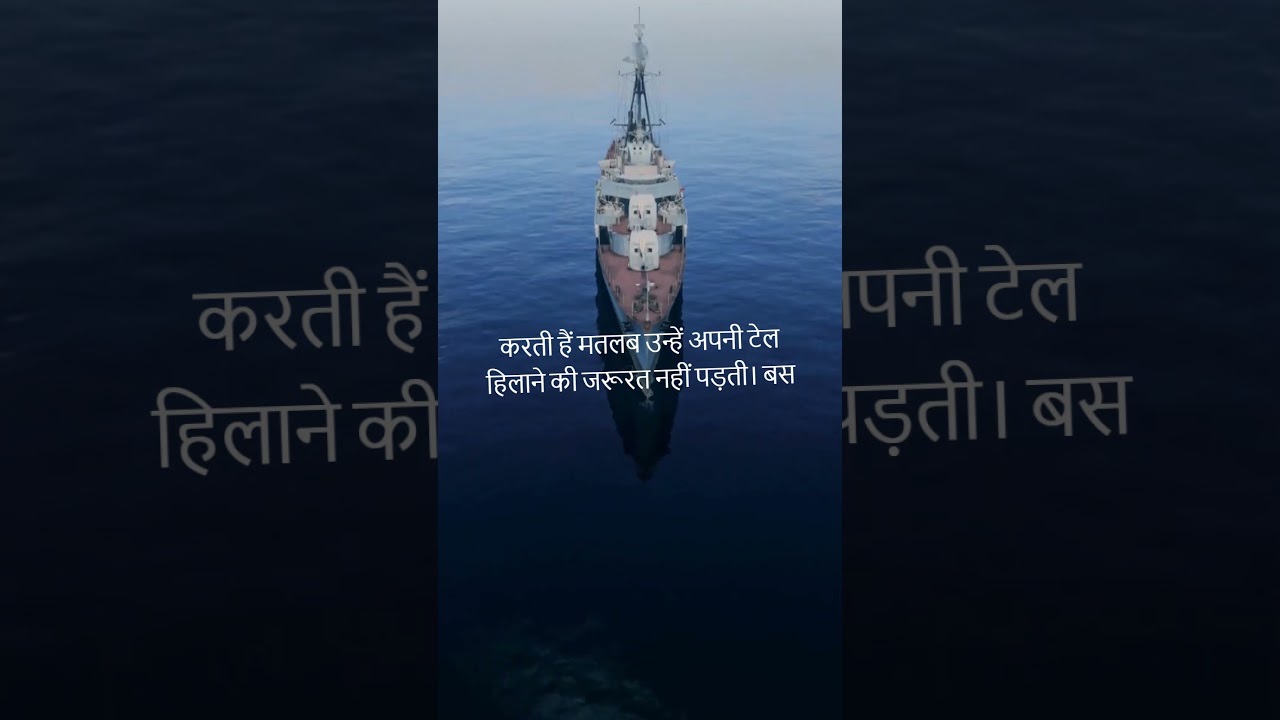 Dolphins and Ships: Why Do Dolphins Swim Ahead? 🐬 Discover the Surprising Reason!