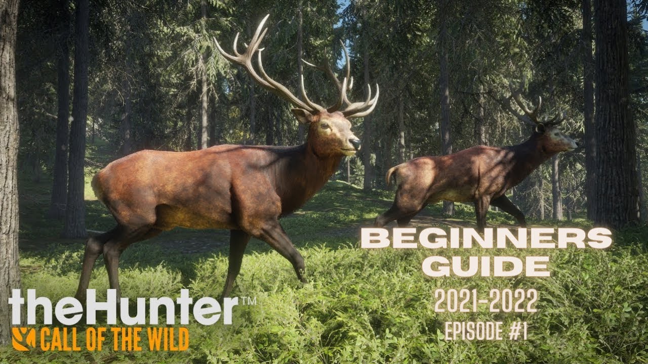 theHunter Call of the Wild! Beginner Tips & Tricks 🎯