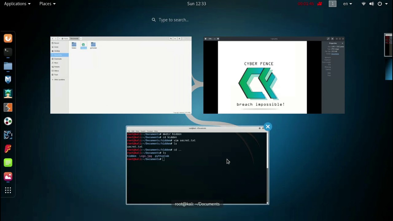 Secretly Hide Files Inside Images with Steganography 🔒