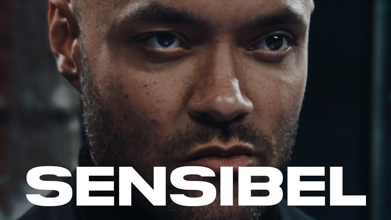 K.I.Z - Sensibel Album Countdown & Exclusive Preview 🎶