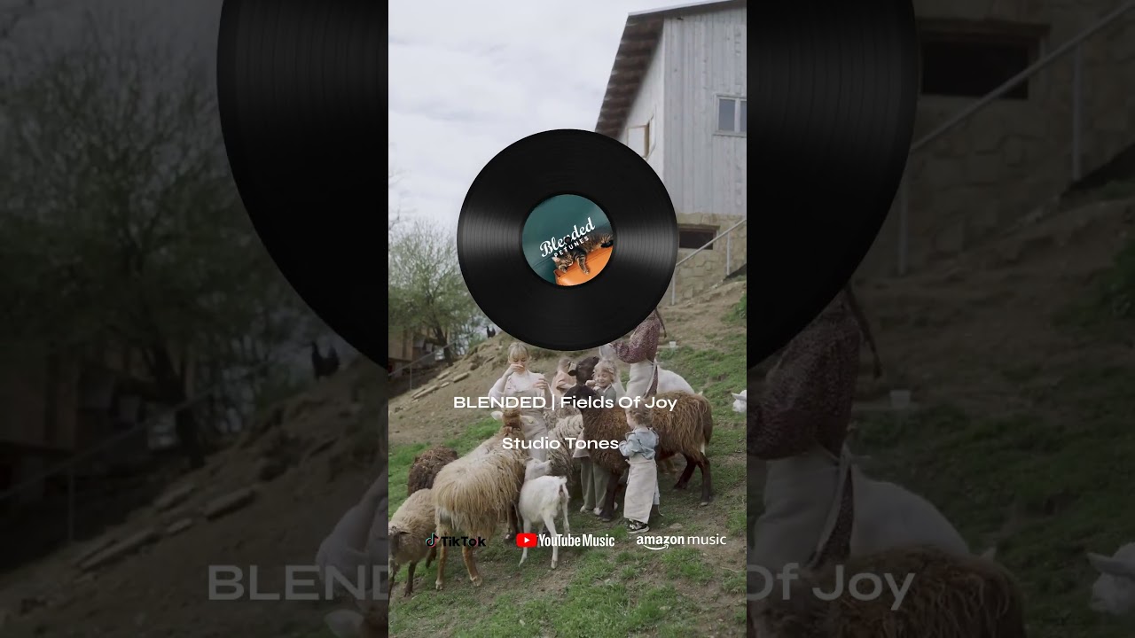 BLENDED | Fields Of Joy