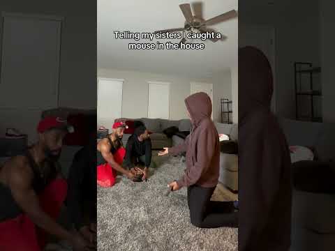 MOUSE IN THE HOUSE #shorts