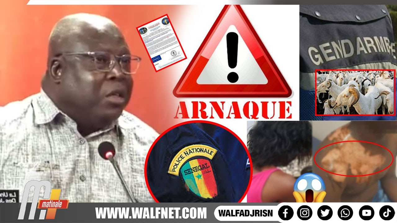 Fraude et Violence : Moutons de la Gendarmerie et Rossbethio