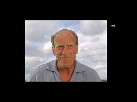 Vi På Saltkråkan - Pappa , hur mycket har du saltat ?