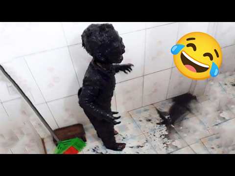 Kumpulan Momen Kocak & Konyol Bikin Ngakak Sampai Sakit Perut 😂🤣 Video Lucu 2025 #14