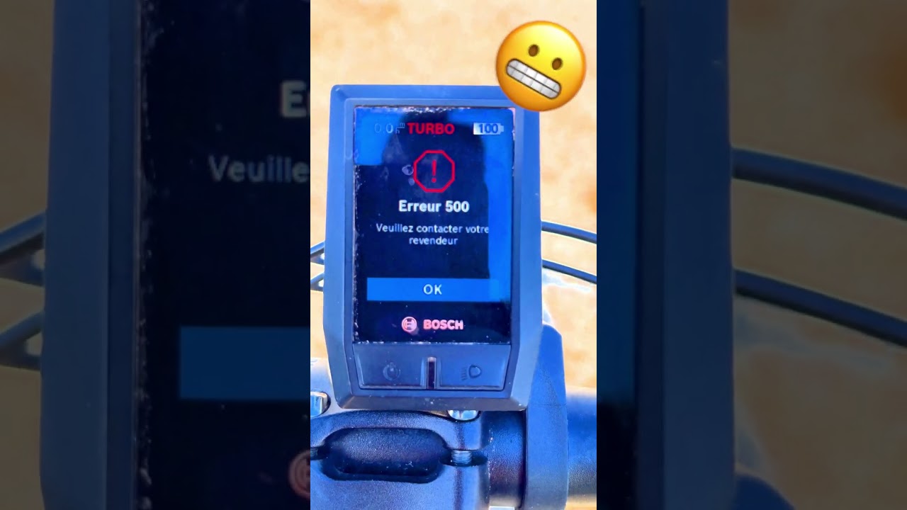 Bosch eBike CX 2020 Error 500 After Warranty ⚠️
