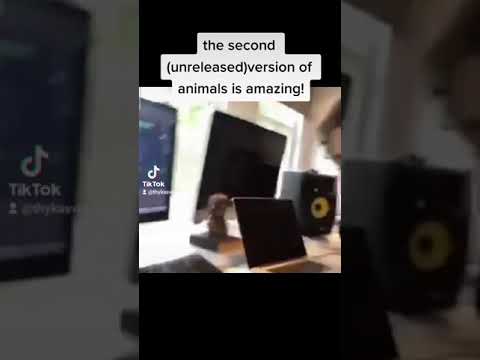 The second version of ANIMALS - MARTIN GARRIX