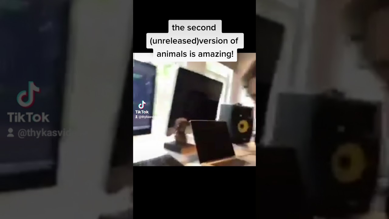 Animals - Martin Garrix (Second Version)