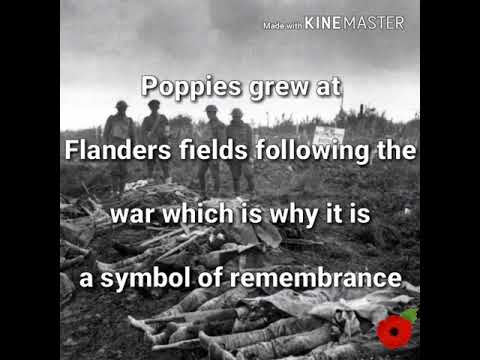 Remembrance Day Facts & My Composed Music 🎶