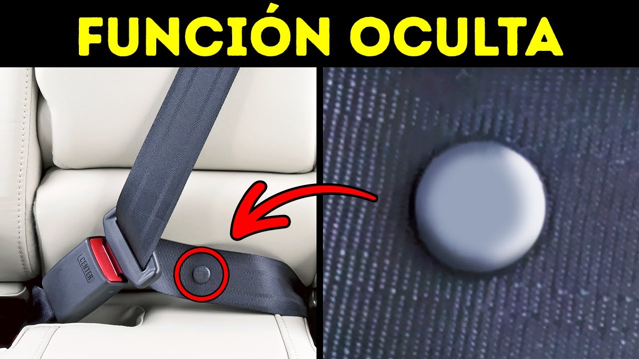 75 Datos Curiosos Difíciles de Encontrar en Google