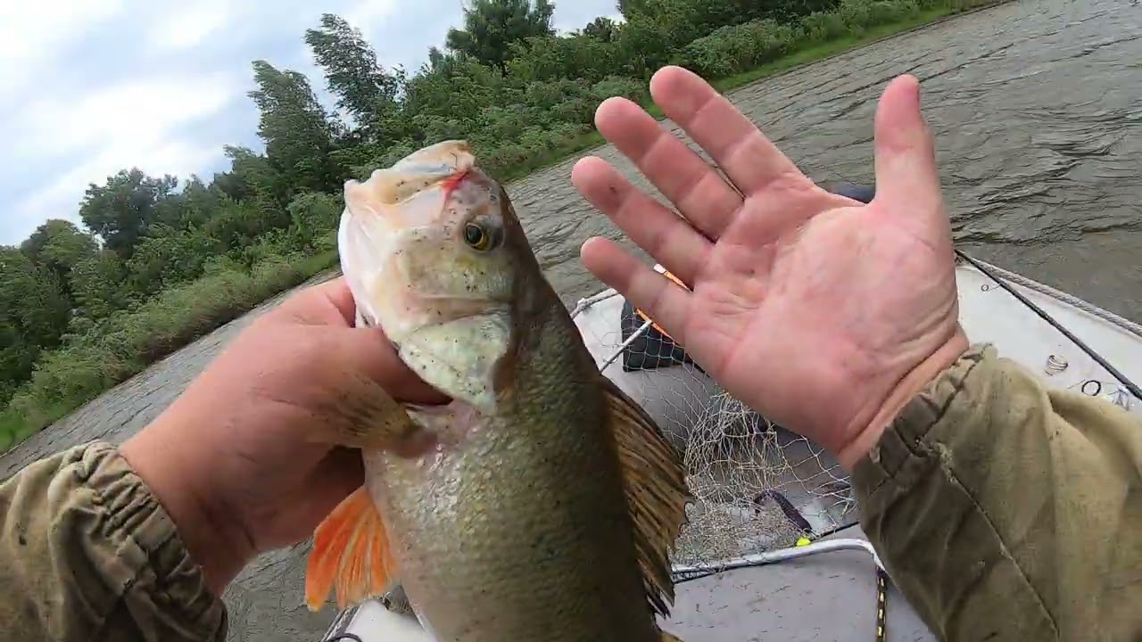 Рыбалка в Астрахани: Ахтуба июнь 2024 🎣