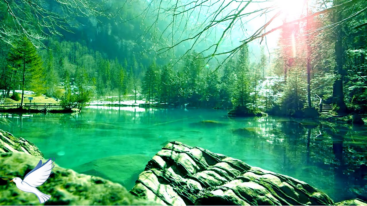 24-Hour Relaxing Piano & Meditation Music 🎶